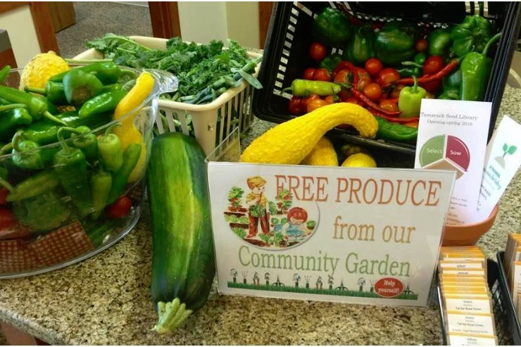 Village of Lakeview, Library